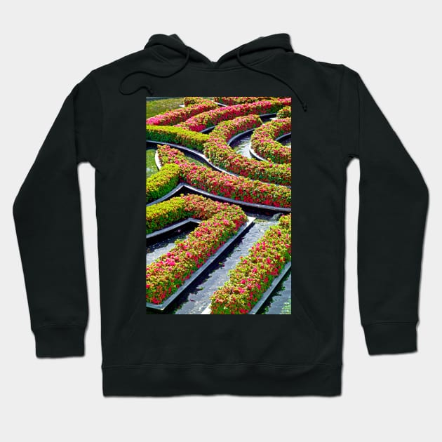 Getty Gardens Study 2 Hoodie by bobmeyers